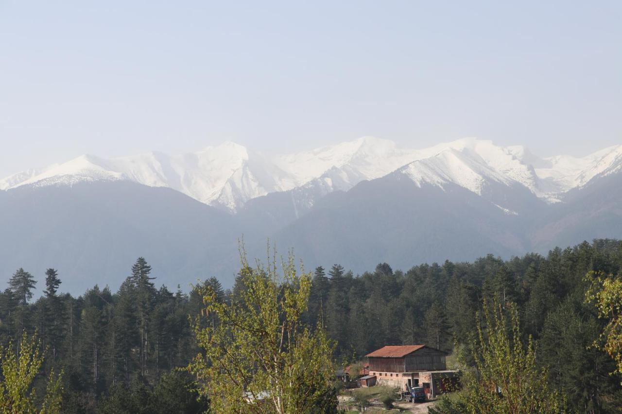 Katarino Spa Hotel Bansko Exteriér fotografie